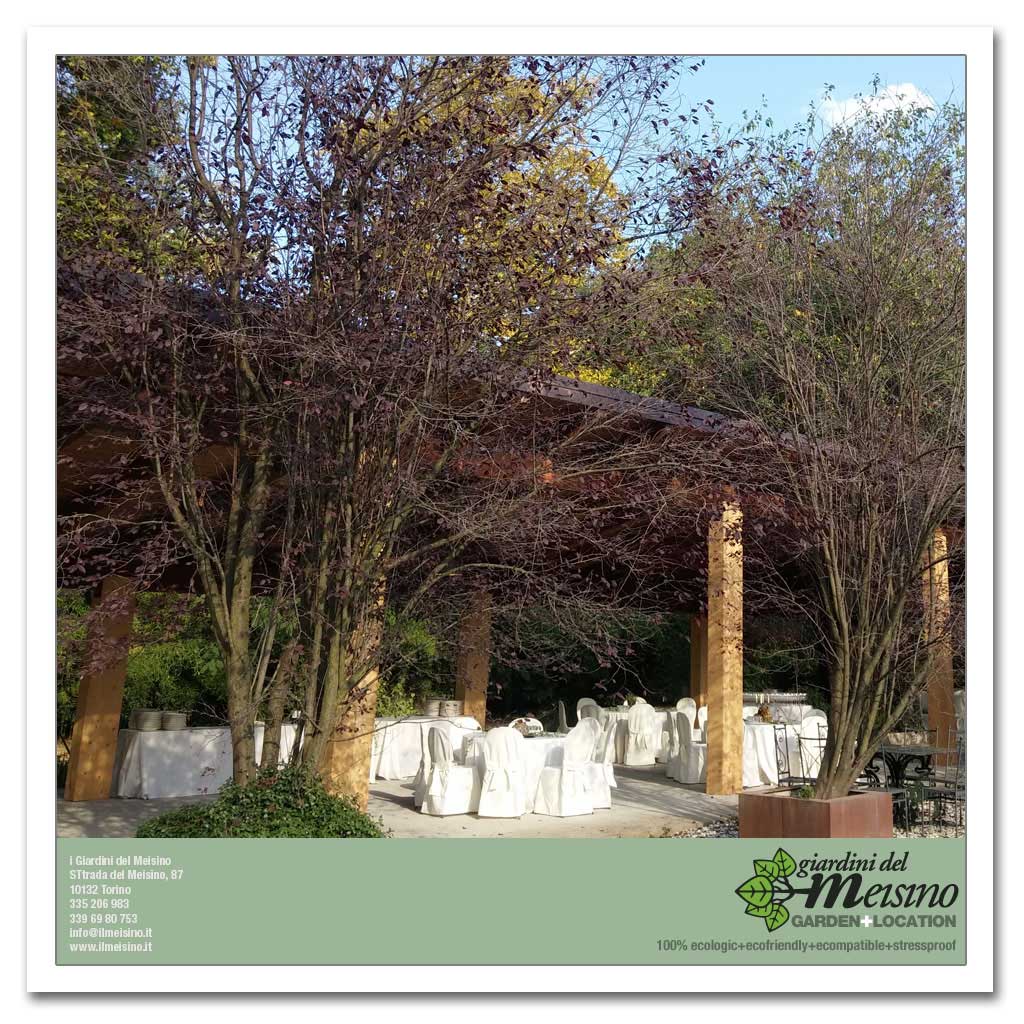 giardini meisino location torino 038